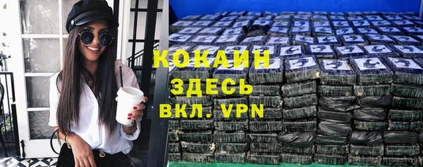 индика Алексеевка