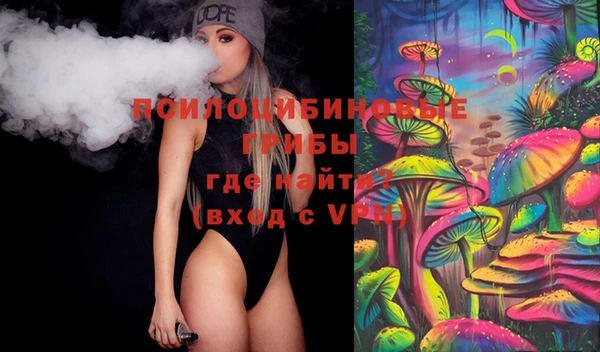 стафф Арсеньев