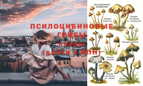 кокс Алзамай