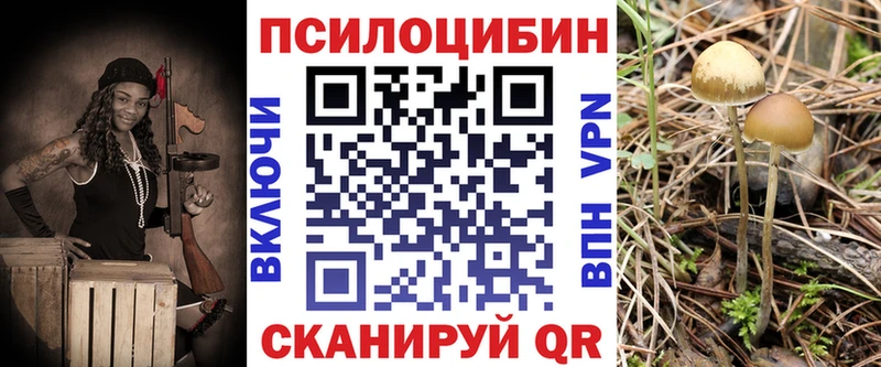 Псилоцибиновые грибы Psilocybe маркетплейс наркотические препараты Обнинск