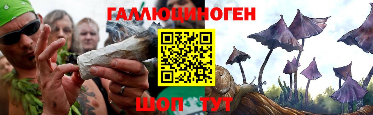 Псилоцибиновые грибы прущие грибы Обнинск
